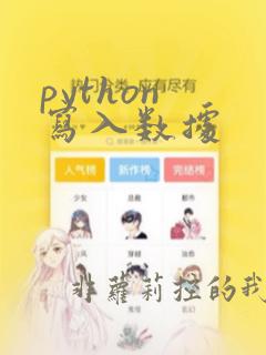 python 写入数据
