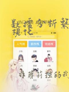 数据分析系统可视化