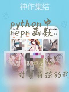 python中repr函数