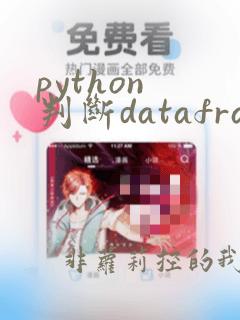 python 判断dataframe是否为空