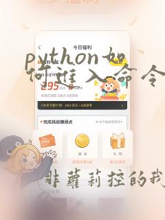 python如何进入命令界面