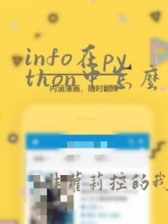info在python中怎么理解