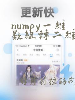 numpy一维数组转二维