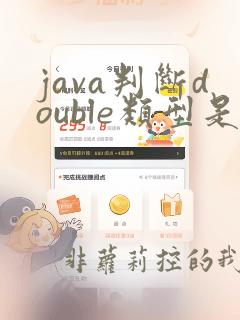java判断double类型是否为空