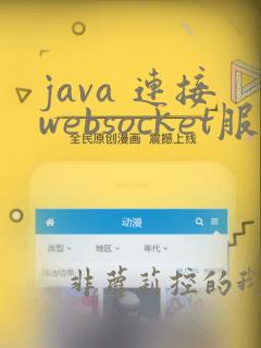 java 连接websocket服务端
