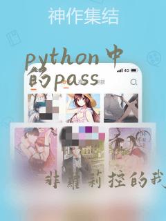 python中的pass