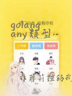 golang any类型