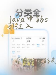 java中的sql注入