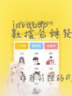 javaudp数据包转发给tcp教程