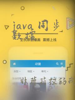 java 同步数据