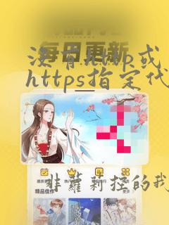 没有http或https指定代理
