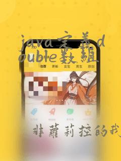 java定义double数组