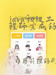 java初级工程师完成的工作