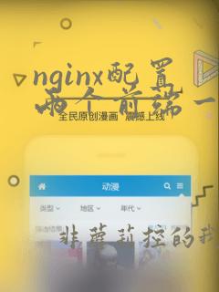 nginx配置两个前端一个入口