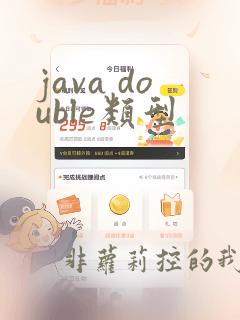 java double类型