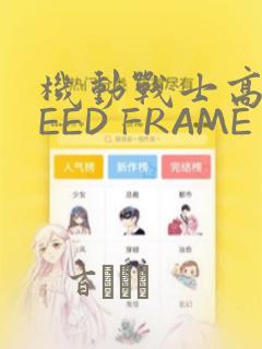 机动战士高达SEED FRAME ASTRAYS：结局+番外