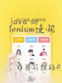 java selenium使用