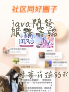 java开发 服务器端