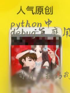 python中debug怎么用