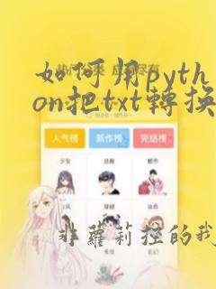 如何用python把txt转换成excel