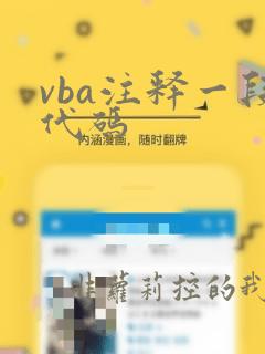 vba注释一段代码