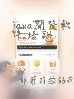 java开发软件 培训