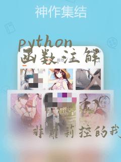 python 函数注解