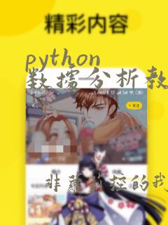 python 数据分析教材