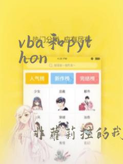 vba和python