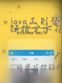 java正则替换指定字符