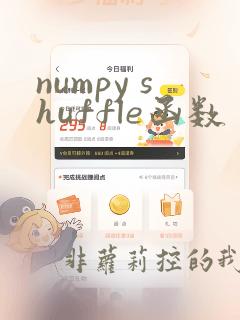 numpy shuffle函数