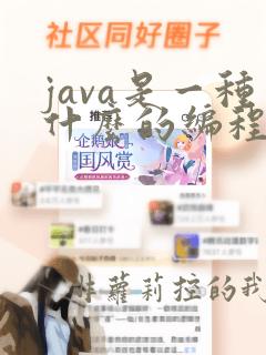 java是一种什么的编程语言
