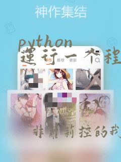 python 运行一个程序