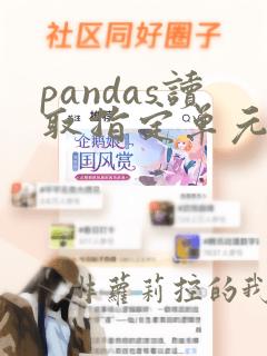 pandas读取指定单元格数据
