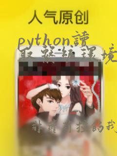 python读取系统环境变量