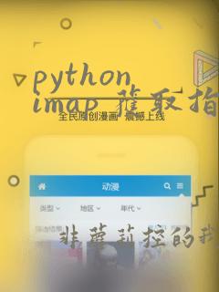python imap 获取指定邮件