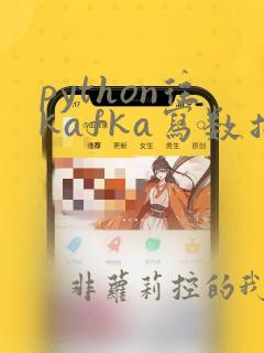 python往kafka写数据