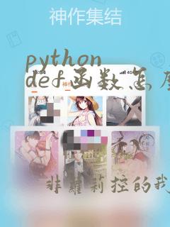 python def函数怎么调用函数