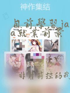 目前学习java就业前景
