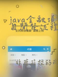 java金融项目开发流程