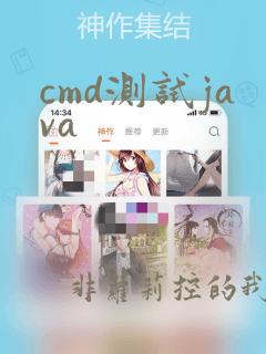 cmd测试java