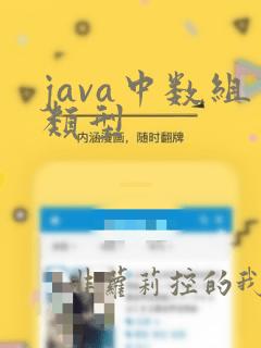 java中数组类型