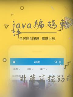 java编码软件