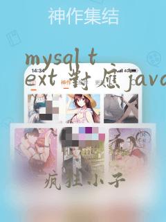 mysql text 对应java