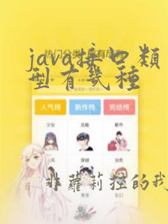 java接口类型有几种
