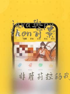 java与python前景