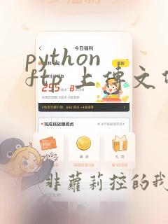 python ftp 上传文件