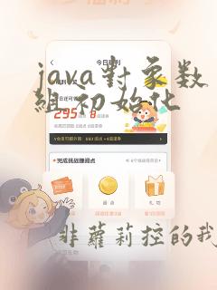 java对象数组初始化