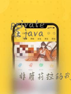 private在java