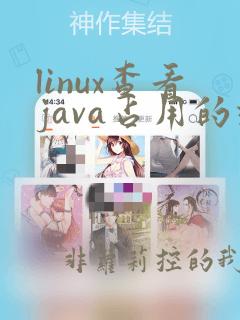 linux查看java占用的端口